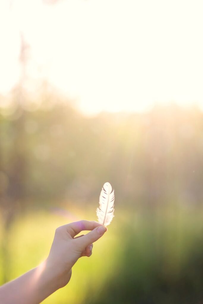 A delicate feather is held in a hand with glowing sunlight in the background.